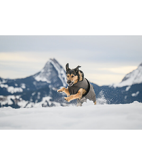 Winter Dog Coat Eddie with Fleece Lining, 200g