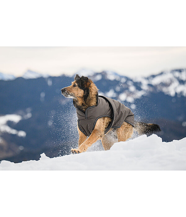 Winter Dog Coat Eddie with Fleece Lining, 200g