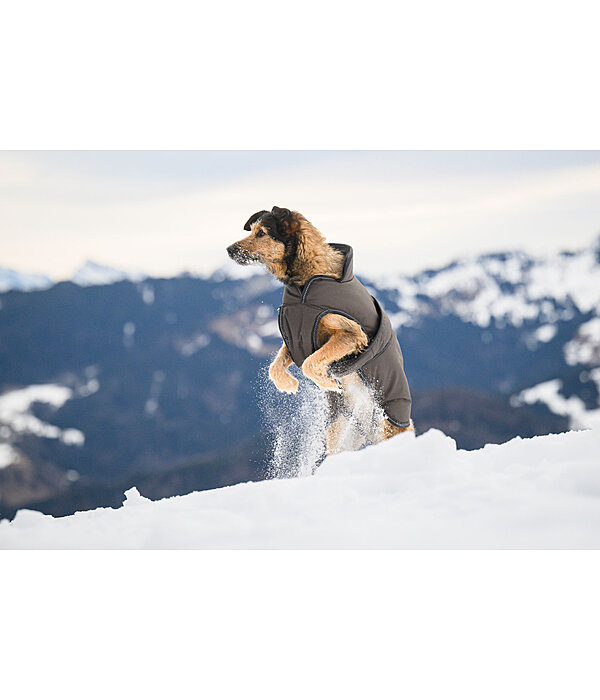 Winter Dog Coat Eddie with Fleece Lining, 200g