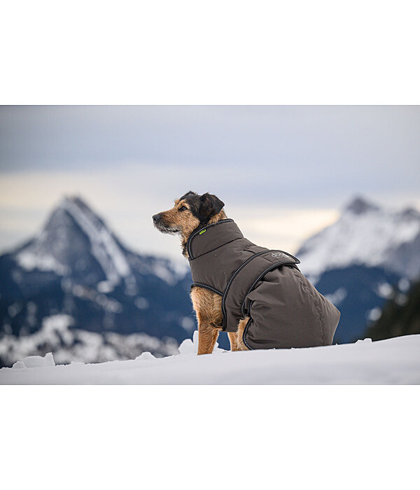 Winter Dog Coat Eddie with Fleece Lining, 200g