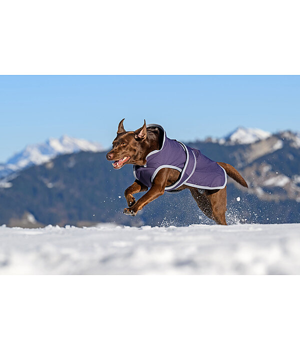 Winter Dog Coat Eddie with Fleece Lining, 200g