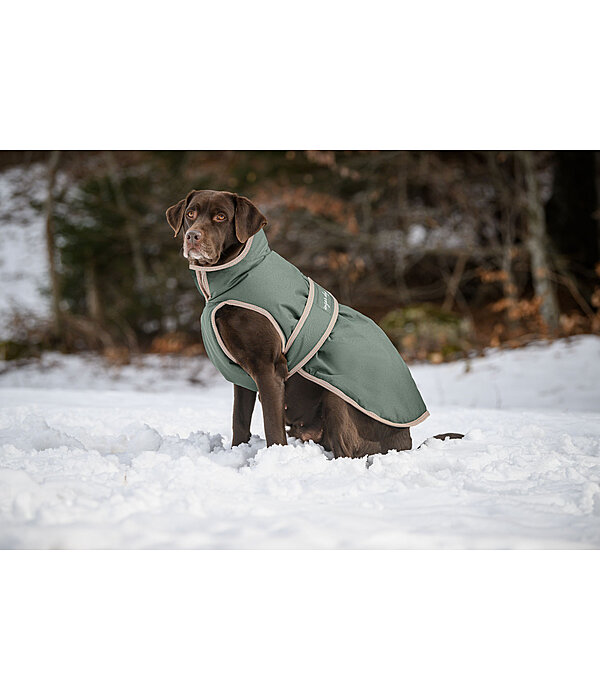 Dog Coat Eddie with Fleece Lining 200 g