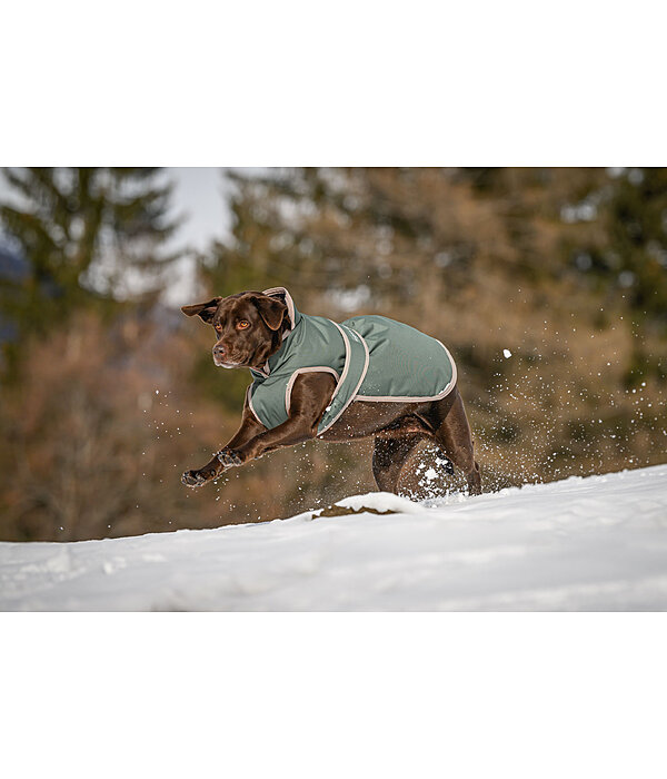 Dog Coat Eddie with Fleece Lining 200 g