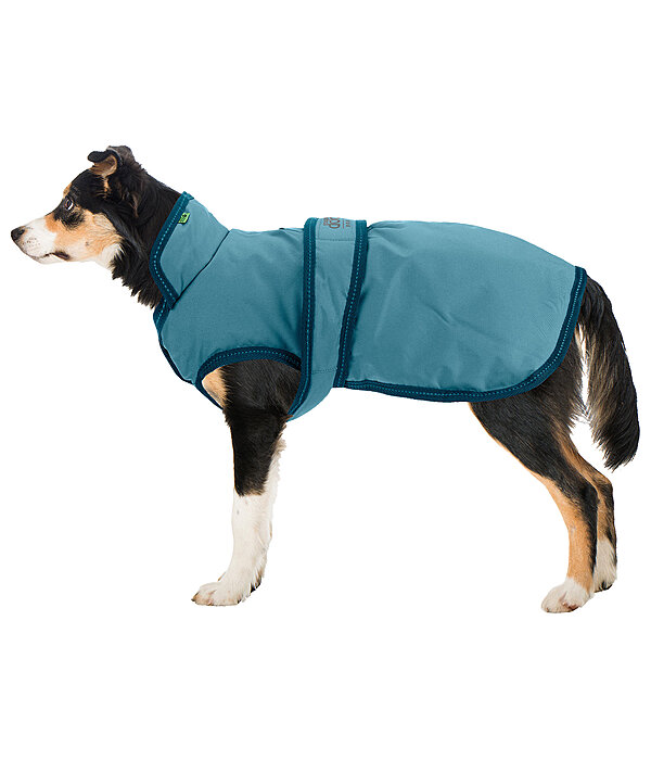 Winter Dog Coat Eddie with Fleece Lining, 200g