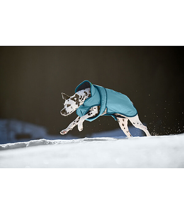 Winter Dog Coat Eddie with Fleece Lining, 200g
