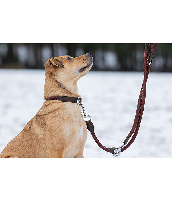 Dog Lead Rope