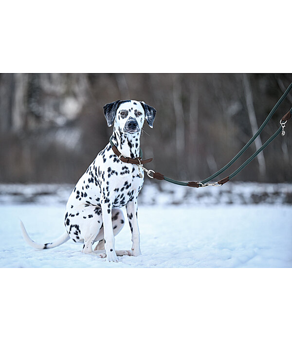 Dog Lead Rope