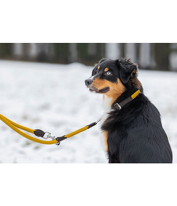 Dog Lead Rope
