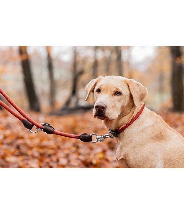 Dog Lead Rope