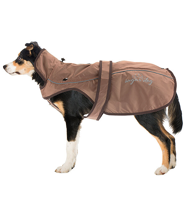 2-in-1 Dog Raincoat Ally