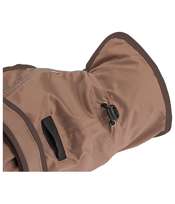 2-in-1 Dog Raincoat Ally