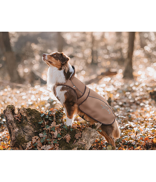 2-in-1 Dog Raincoat Ally