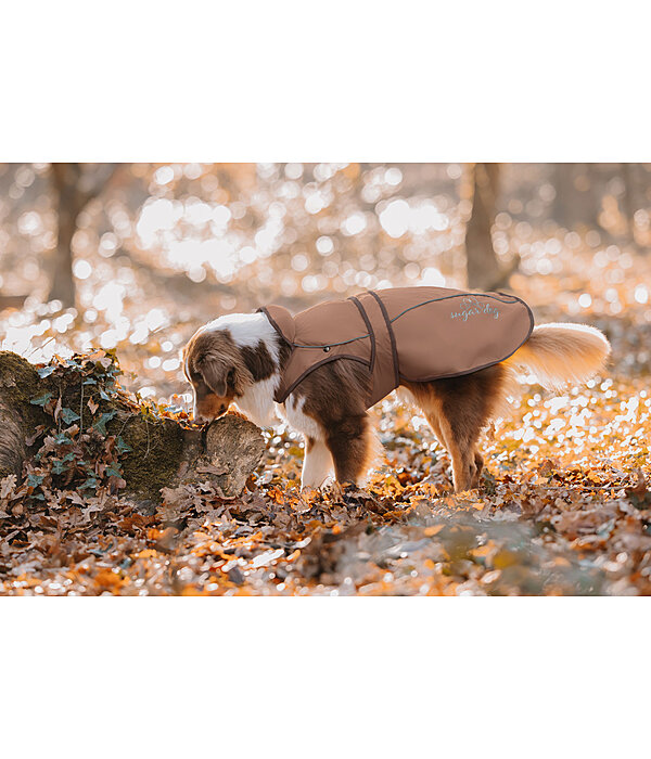 2-in-1 Dog Raincoat Ally