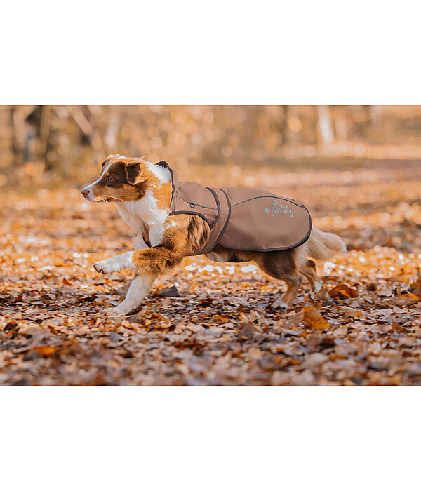 2-in-1 Dog Raincoat Ally