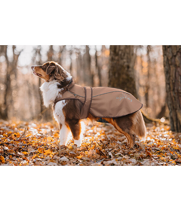 2-in-1 Dog Raincoat Ally