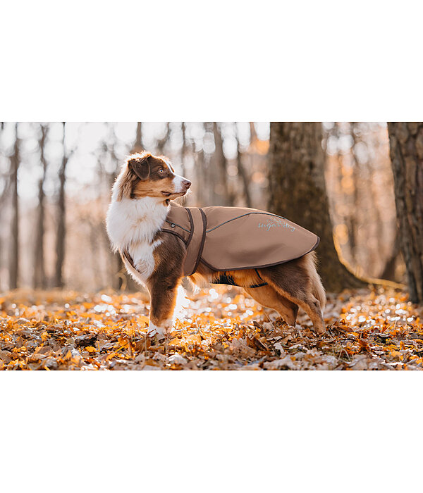 2-in-1 Dog Raincoat Ally