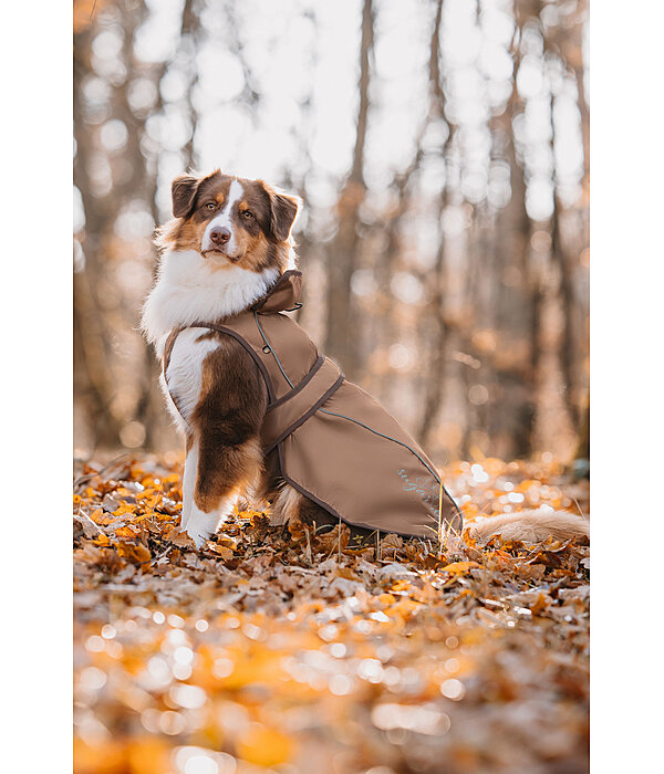 2-in-1 Dog Raincoat Ally