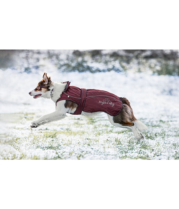 Dog Raincoat Ally 2 in 1