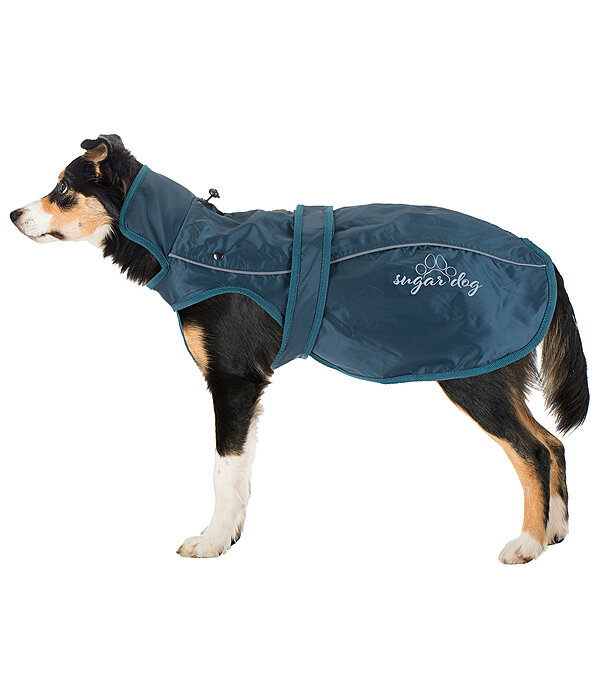 2-in-1 Dog Raincoat Ally