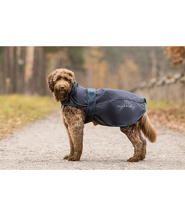 2-in-1 Dog Raincoat Ally