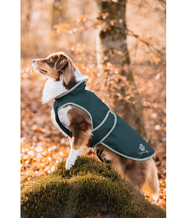 Dog Raincoat Eldoro II with Fleece Undercoat