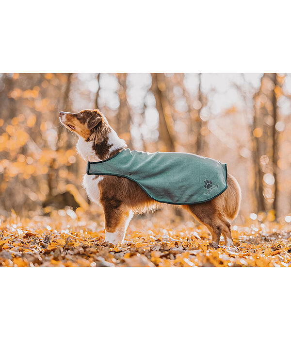 Dog Raincoat Eldoro II with Fleece Undercoat