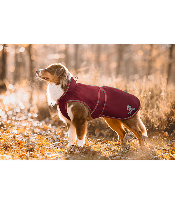 Dog Raincoat Eldoro II with Fleece Undercoat