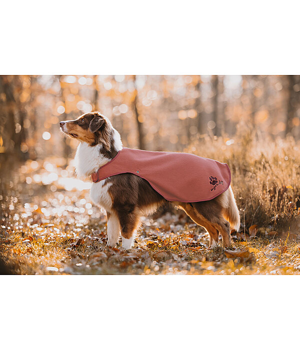 Dog Raincoat Eldoro II with Fleece Undercoat