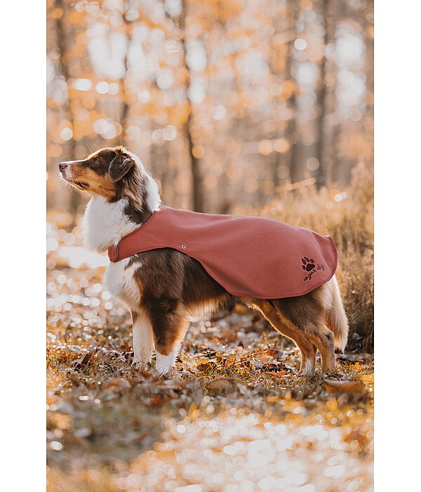 Dog Raincoat Eldoro II with Fleece Undercoat