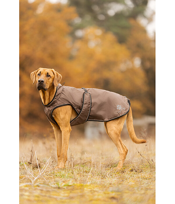 Dog Raincoat Eldoro II with Fleece Undercoat