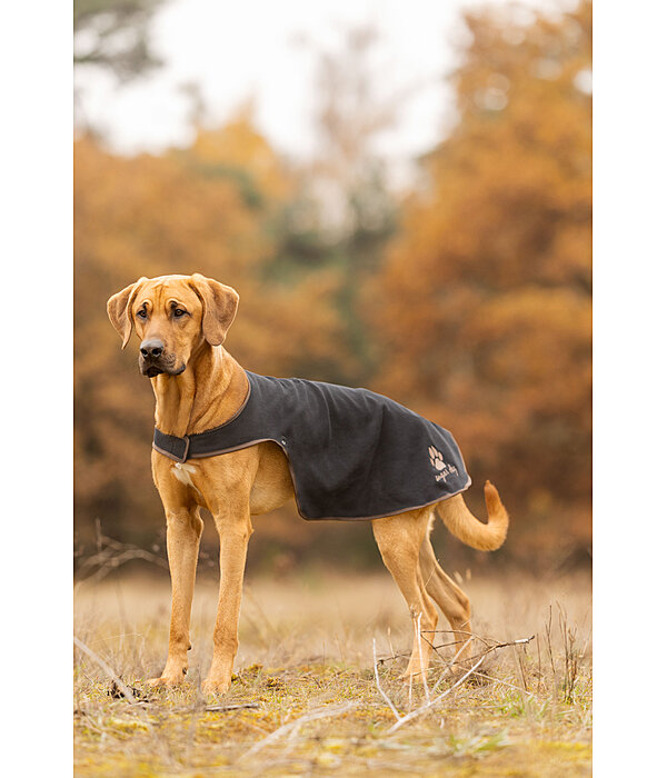 Dog Raincoat Eldoro II with Fleece Undercoat