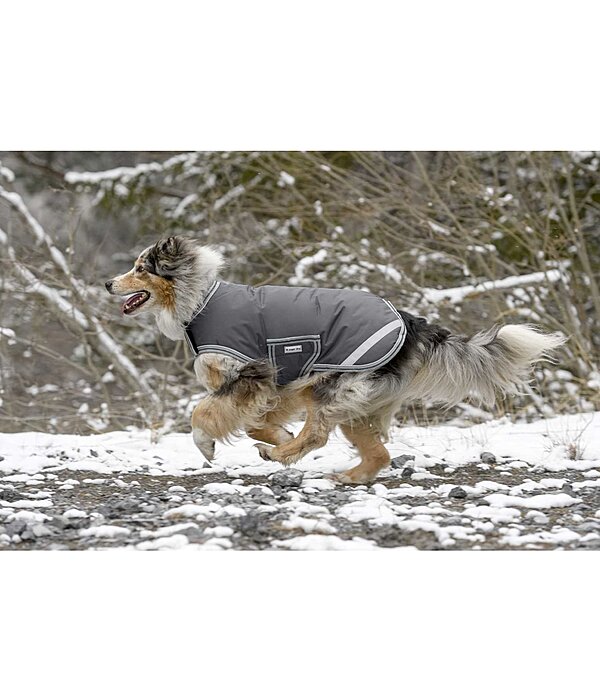 Winter Dog Coat, 300 g
