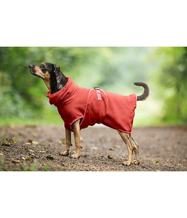 Drying Cape Dry Dog II
