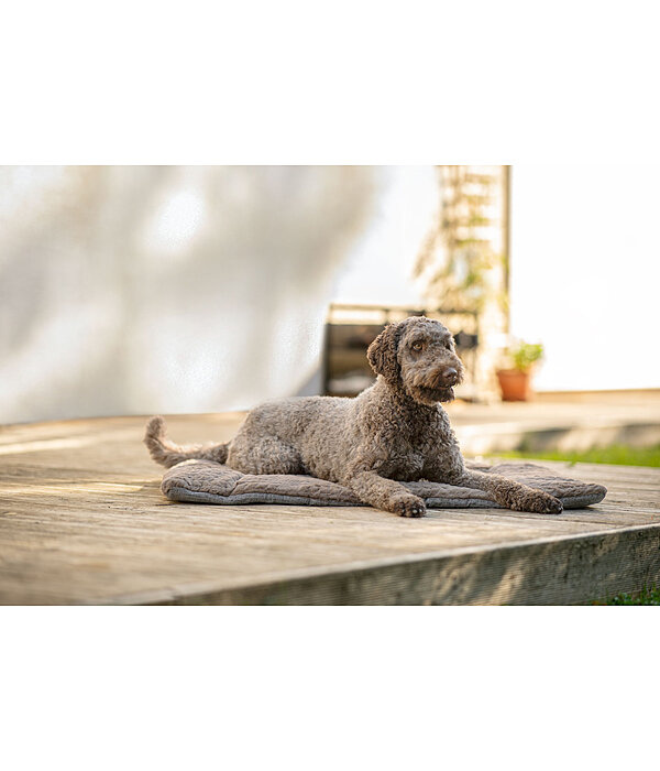 Dog Cushion Let Me Sleep