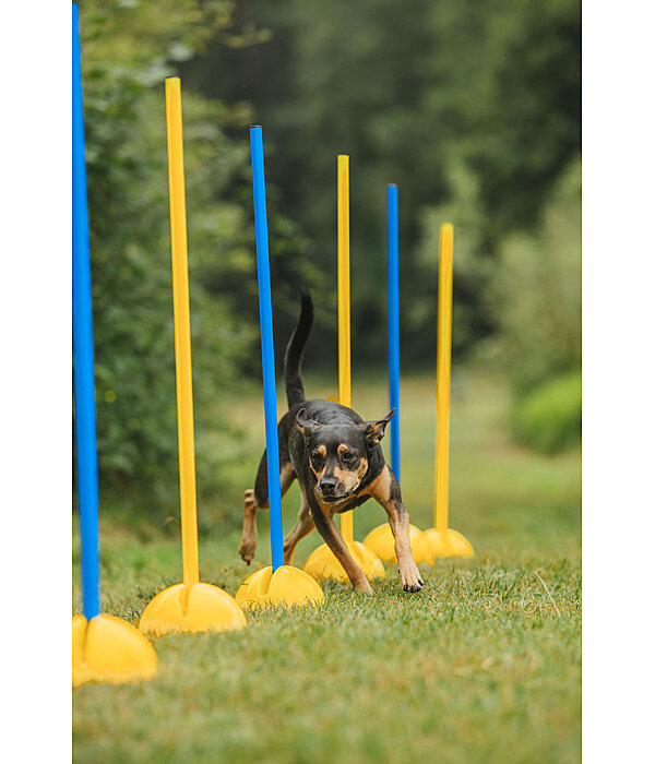 Agility Pole