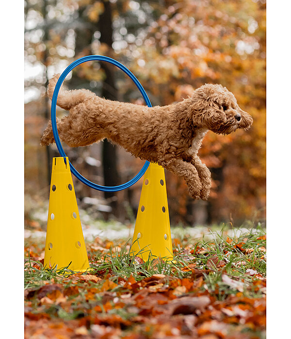 Agility Cones