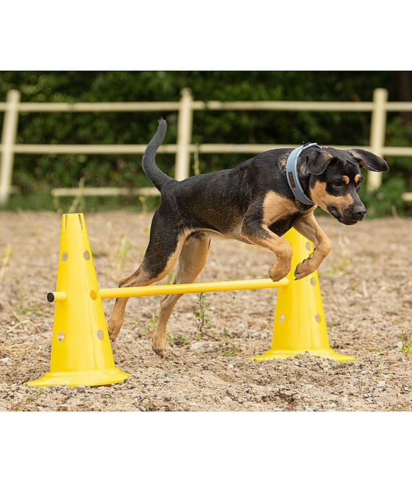 Dog agility sale cones