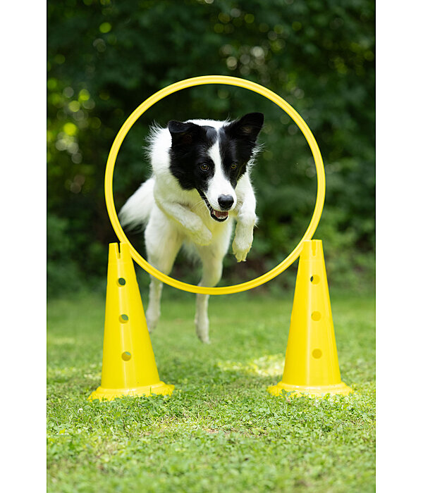 Agility Cones