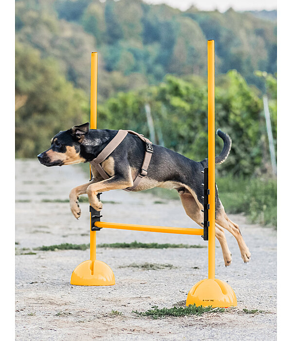 Agility Pole Cups