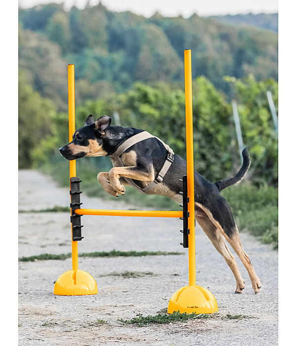 Agility Pole Cups