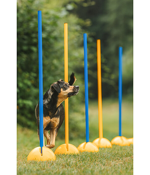 Agility Stands