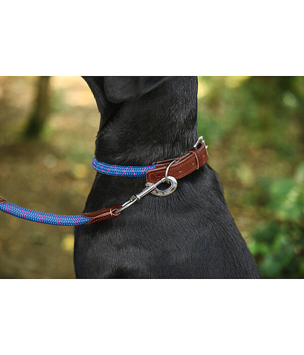 Dog Collar Coloured Rope