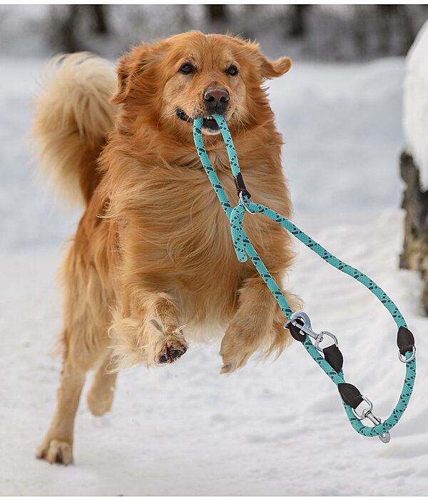 Dog Lead Coloured Rope