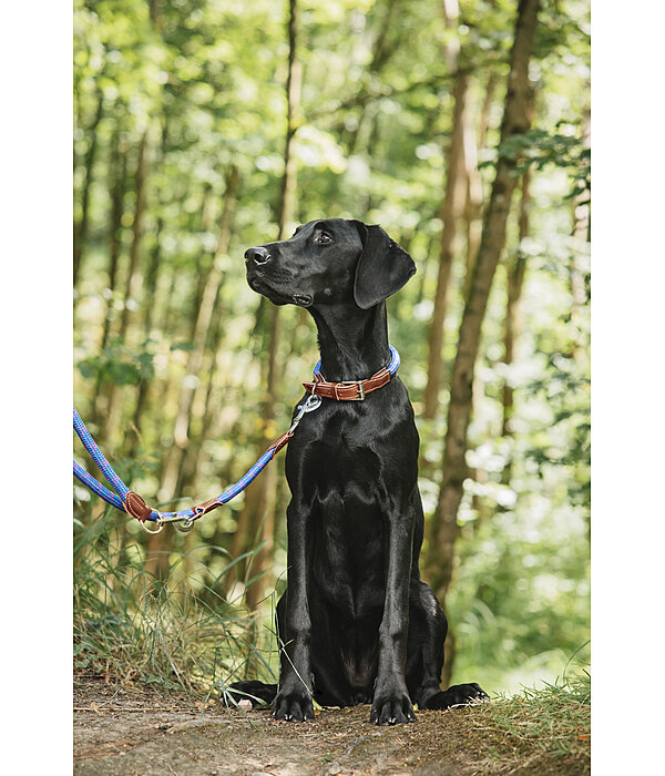 Dog Lead Coloured Rope