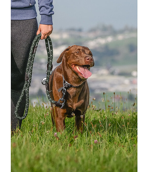 Dog Lead Coloured Rope