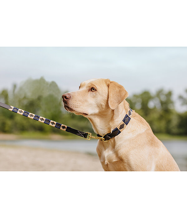 Leather Dog Collar and Lead Polo Sports