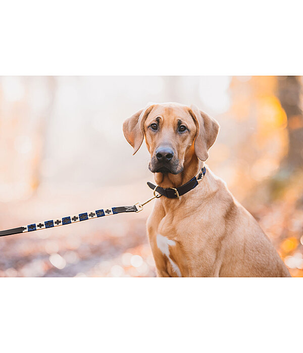 Leather Dog Collar and Lead Polo Sports