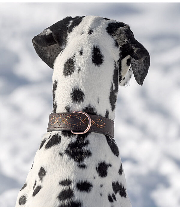 Leather Dog Collar Livorno