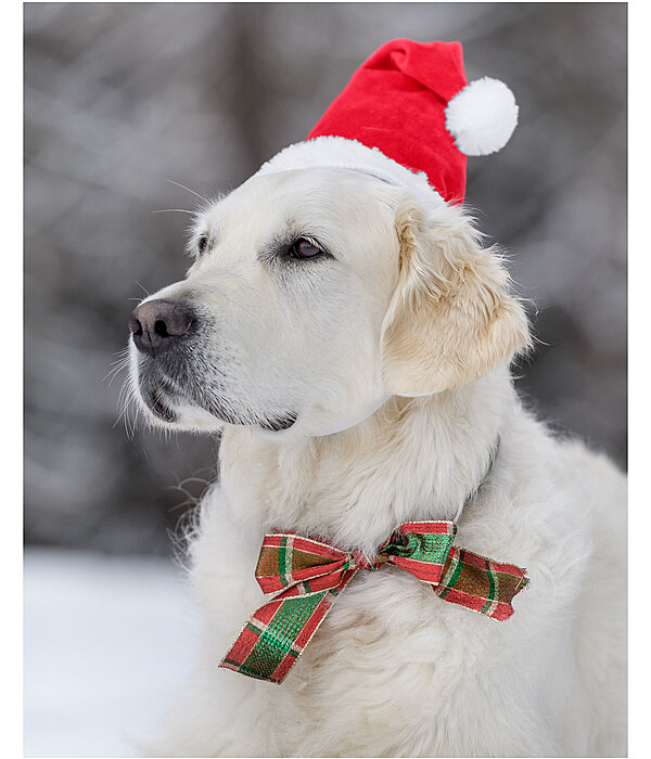 Christmas Hat Santa for Dogs