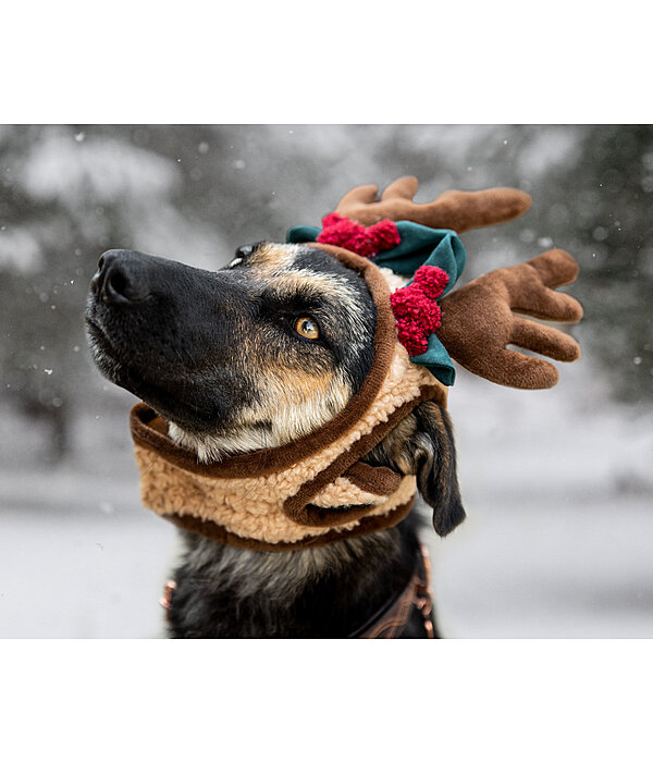 Christmas Antlers Rudolph for Dogs